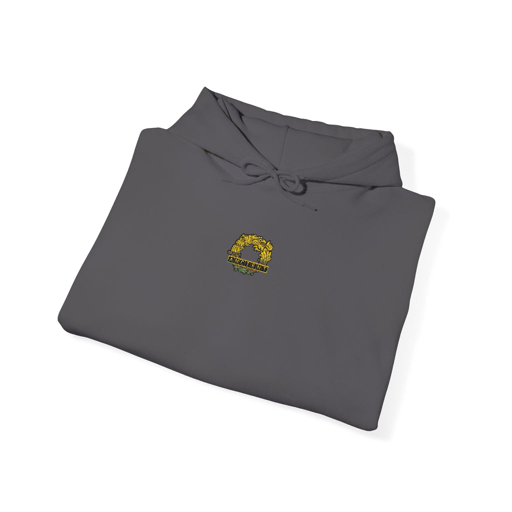 Embraided Ancient Hoodie - Counter Strike